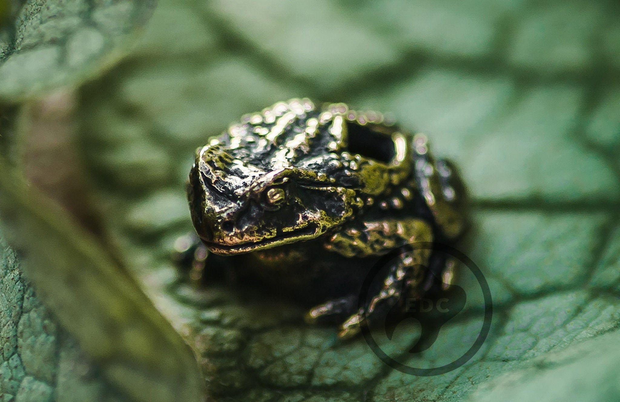 Solid brass realistic Forest Frog toad bead for paracord.